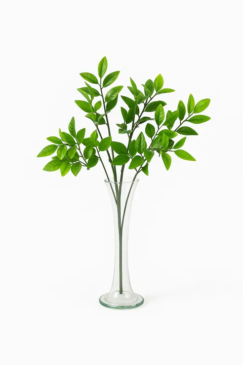 Ramo verde