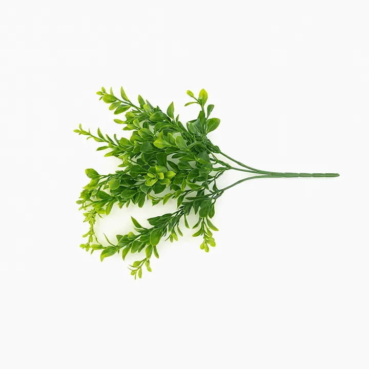 Ramo verde