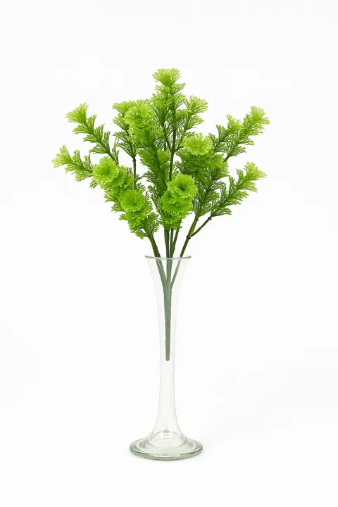 Ramo verde