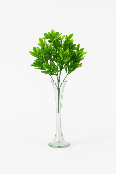 Ramo verde
