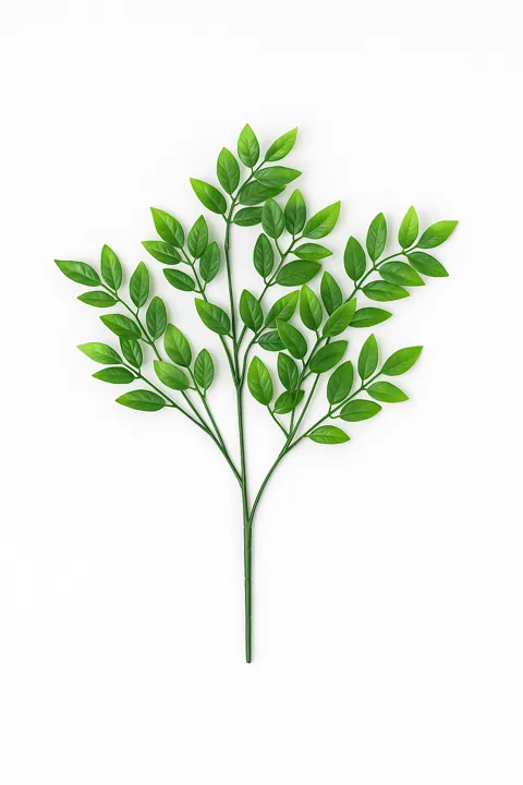 Ramo verde