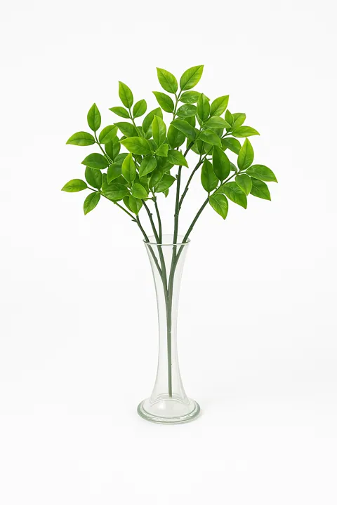 Ramo verde