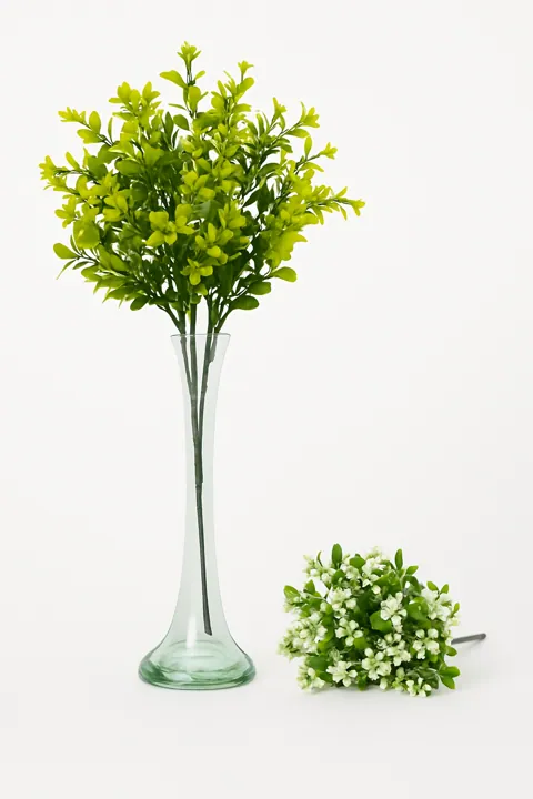 Ramo verde