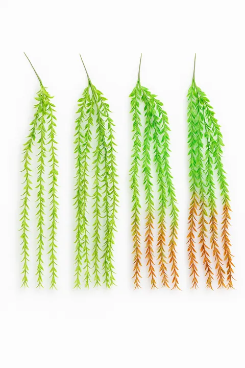 Colgante con 5 tallos verde (1 m)