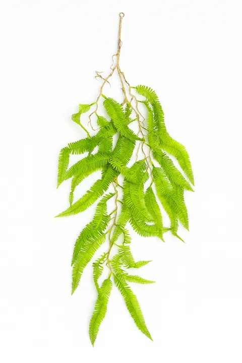 Sauce llorón (90 cm)