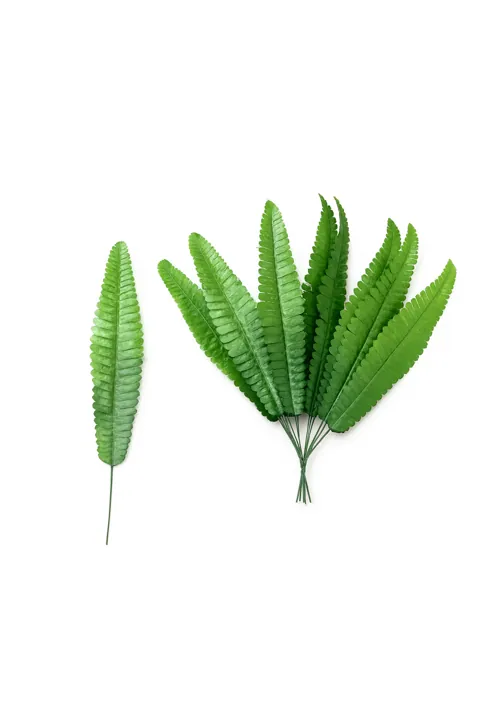 Hoja Helecho (41 cm)