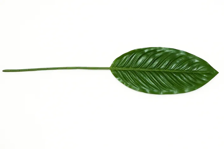 Hoja espatifilo (90 cm)