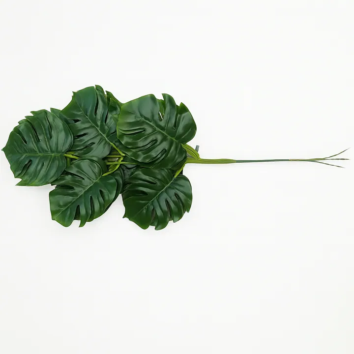 Rama Monstera (53 cm)