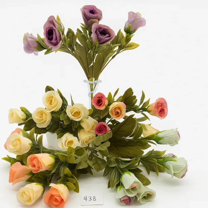 Tulipan premium