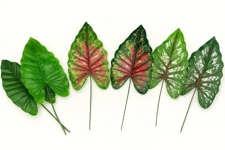 Hoja Alocasia (52 cm)