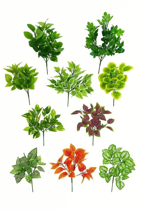 Plantas verdes surtidas