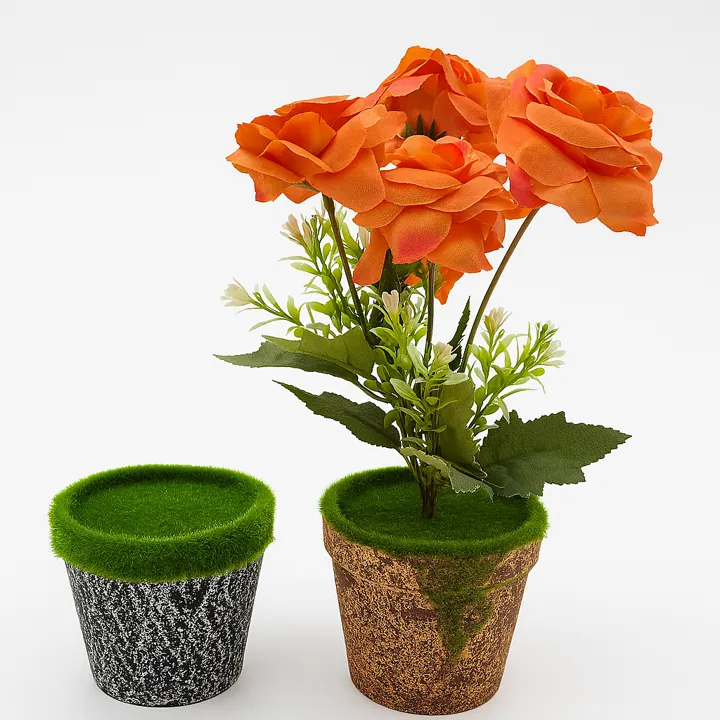 Maceta con musgo (10 cm)