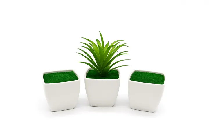 Maceta blanca (5 cm)