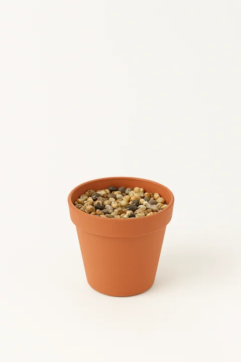 Maceta marrón con piedras (11 cm)