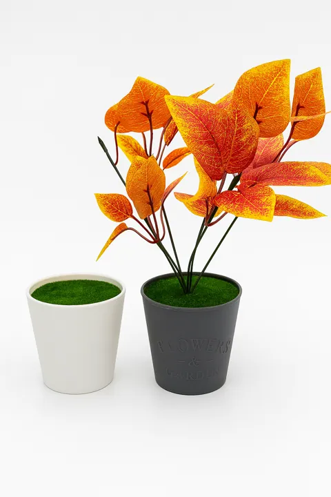 Maceta con pasto (10,5 cm)