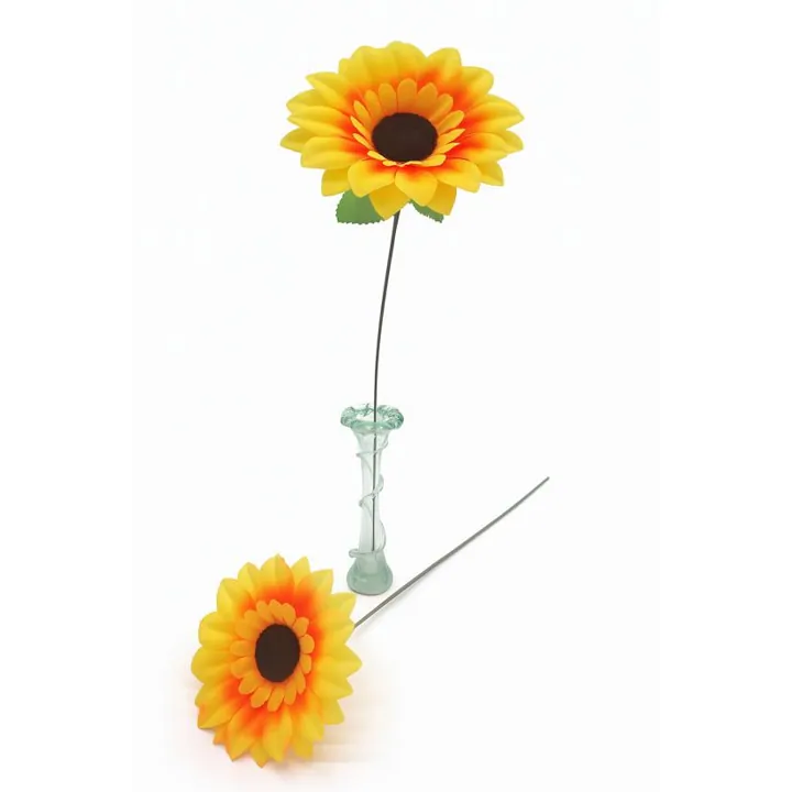 Girasol x1