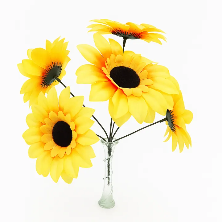 Girasol x5