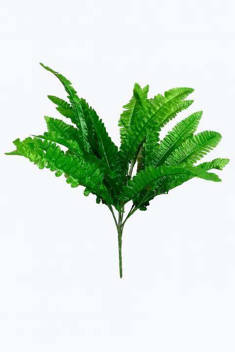 Planta helecho chica 14 hojas (40 cm)