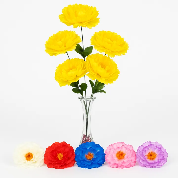 Dalia x5 (50 cm)