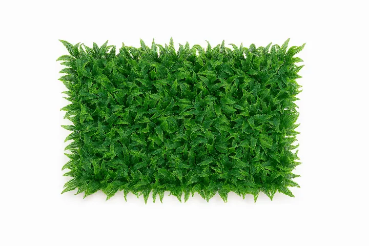 Plancha de pasto con helecho (60 x 40 cm)