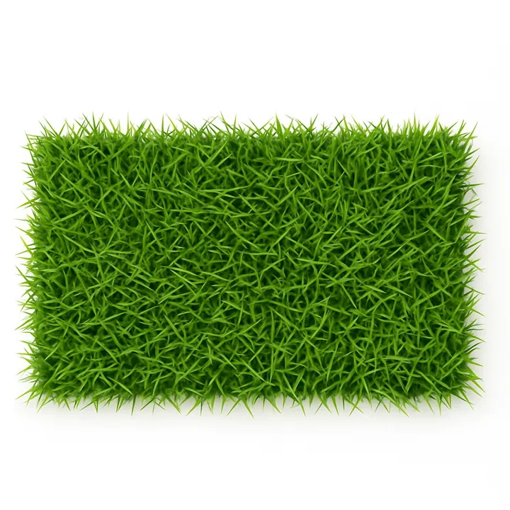 Plancha verde salvaje (60 x 40 cm)
